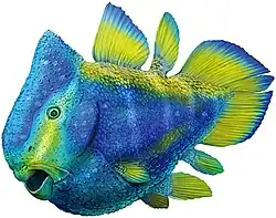 Foreyia maxkuhni (Latimeriidae)