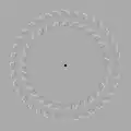 Pinna-Brelstaff illusion: the two circles seem to move when the viewer's head is moving forwards and backwards while looking at the black dot.[48]