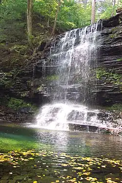 Falls