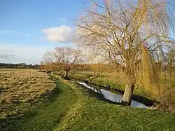 The Beverley Brook flows through the park.