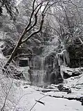 A very tall waterfall in the midst of snow-covered rocks and trees