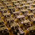A swarm of robots
