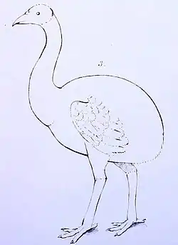 Simple drawing