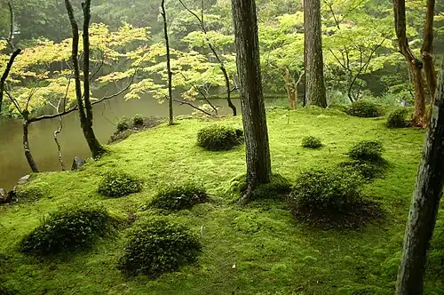 Saihō-ji The Moss Garden, an early Zen garden from the mid-14th century. The moss arrived much later, when the garden was not tended.