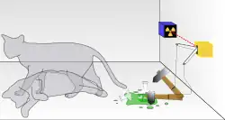 A picture of a cat outline simultaneously standing and lying dead