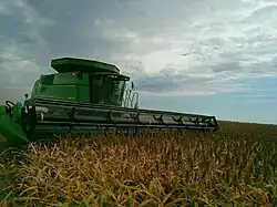 Harvesting sorghum in Oklahoma, US, with a combine harvester