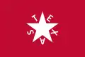 Speculative design of the amended Zavala flag based on the July 7, 1836 issue of The New York American[32]