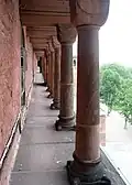 Dwarf gallery