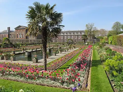 The Sunken Garden, planted with tulips.