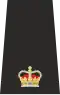 Isle of Man Police Superintendant Epaulette