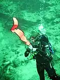 A diver preparing to inflate a delayed surface marker buoy