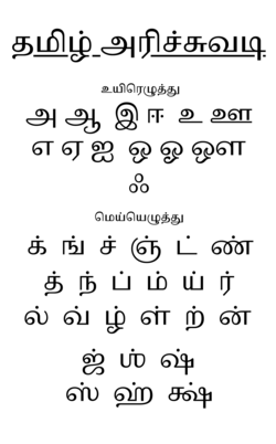 Tamil Ariccuvaṭi