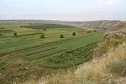 a farming field