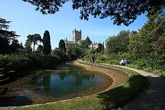 Pool of water in an area of trees and shrubs. In the background is the cathedral.