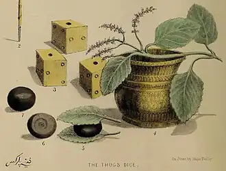 A coloured pencil drawing of three die, shown next to other items
