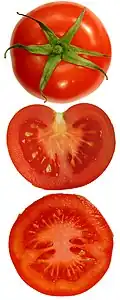 The seeds in a tomato fruit grow from placental areas at the interior of the ovary. (This is axile placentation in a bi-locular fruit.)