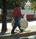 Large toasted tortillas are used for making tlayudas being sold by a street vendor in Oaxaca