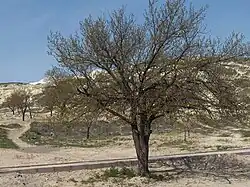 Habit