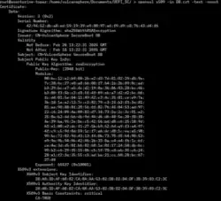 Terminal output of the openssl command displaying fields of an X.509 certificate