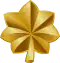 alt=alt=Major / Lieutenant commander