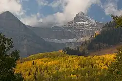 Aspens below mountains in fall.