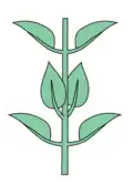 decussate
