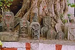 Nāga