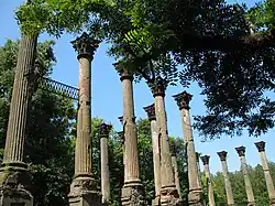 Windsor Ruins, near Natchez, Mississippi, house built 1850s, burned 1890s
