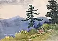 North Woods Club, Adirondacks (The Interrupted Tete-a-Tete) (1892) by Winslow Homer