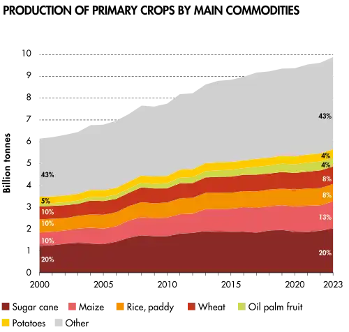 World production of primary crops by main commodities[44]