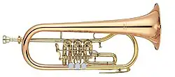 Photograph of a rotary-valve flugelhorn