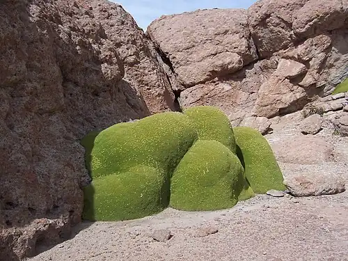 Green ball between orange rocks