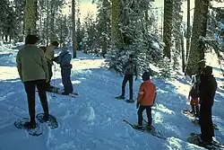 Ranger-led snowshoe walk in winter Yosemite