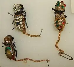 Preserved living brooches: Zopheridae in jewellery[192]