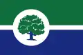 Flag of Ann Arbor