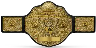 A professional wrestling championship belt with a roughly circular golden front plate